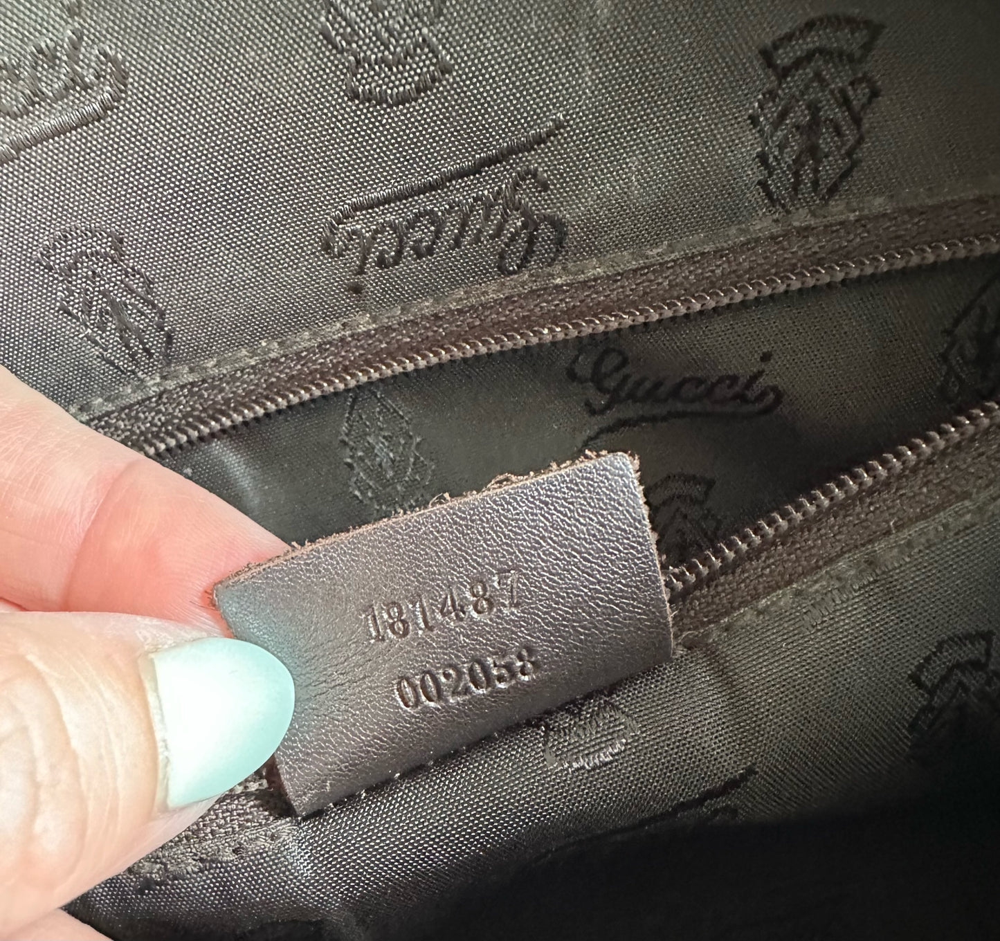 Gucci bag