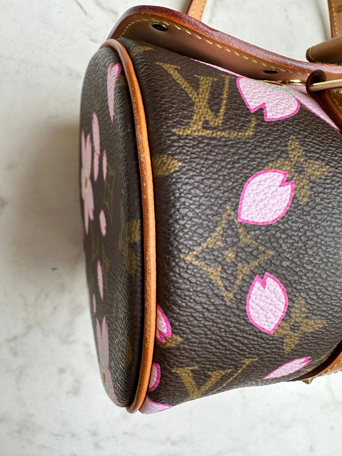 Takashi Murakami cherry blossom papillon bag