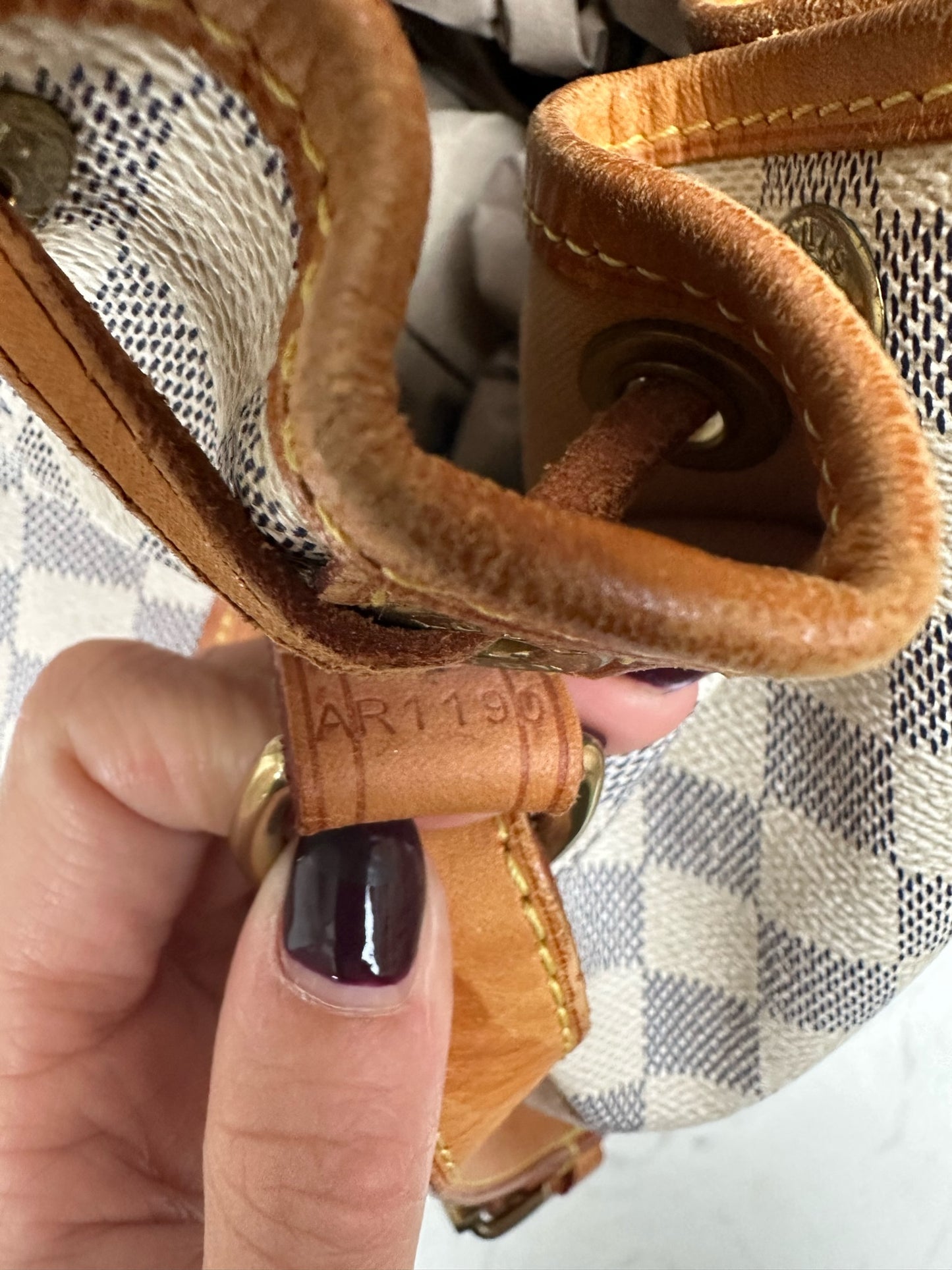 Noé in damier azur