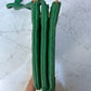 Trio bag