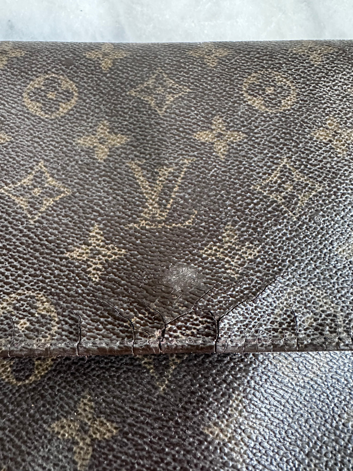 Louis Vuitton Looping