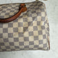 Speedy 30 in damier azur
