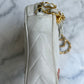 Vintage camera bag