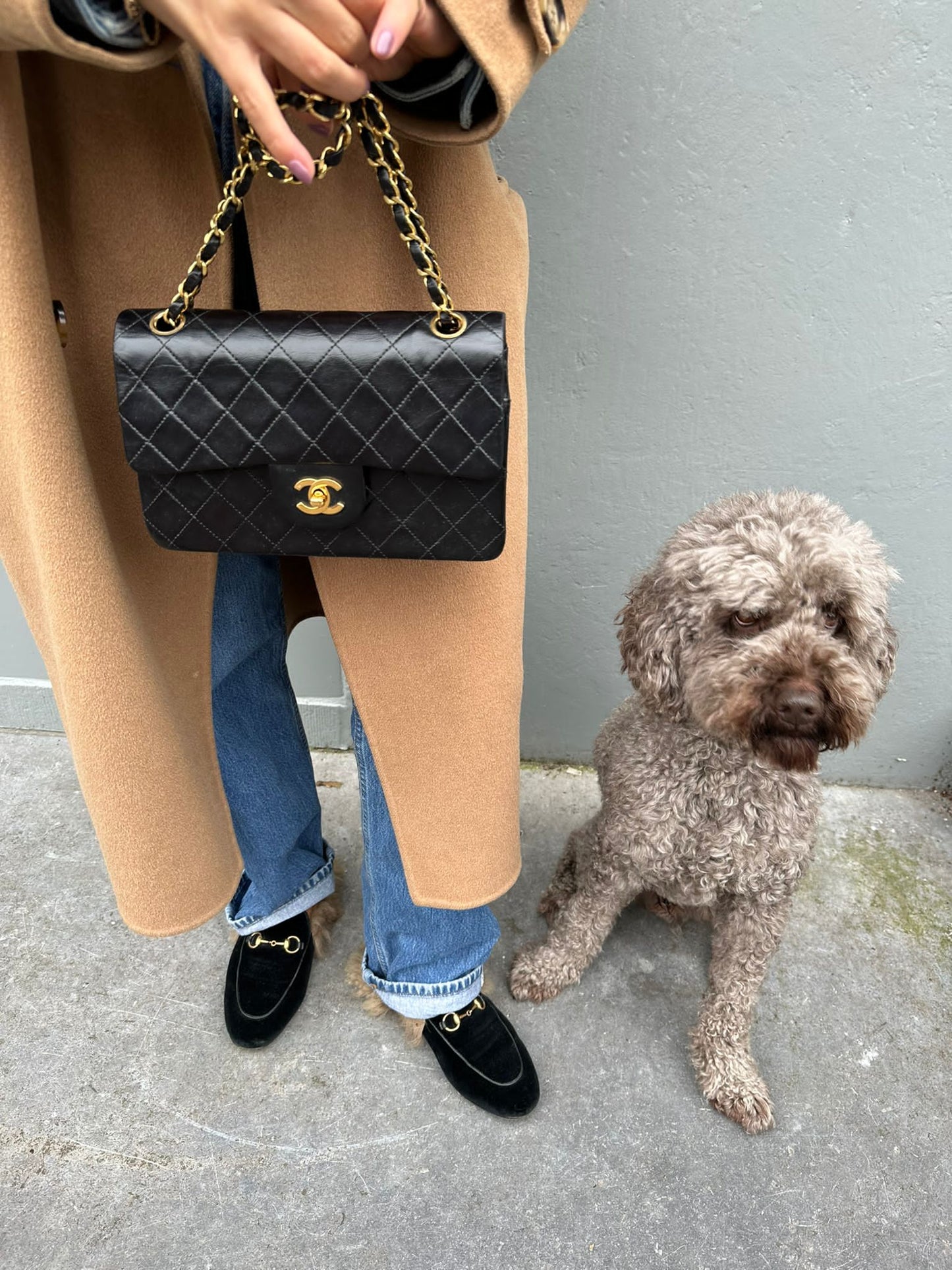 Small flap bag